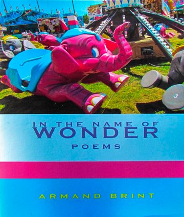 In the Name of Wonder, poems by Armand Brint
