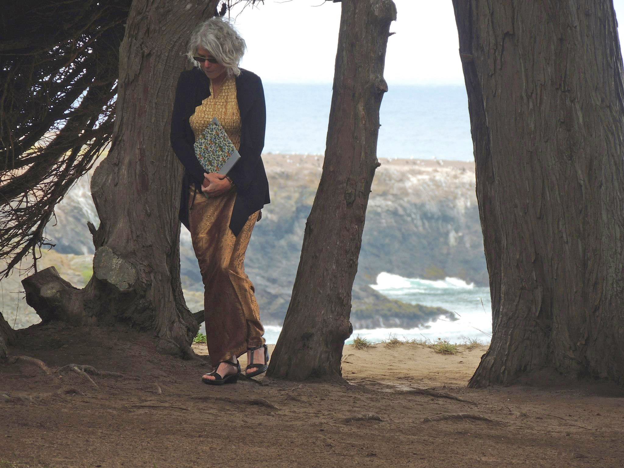 Poet Theresa Whitehill