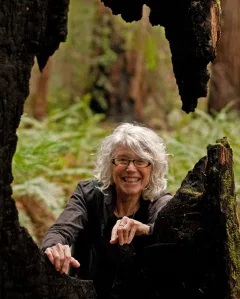 Theresa Whitehill in Montgomery Woods by Sarah McKinley