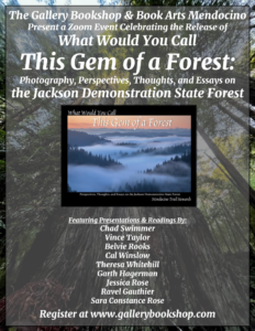 This Gem of a Forest digital flyer